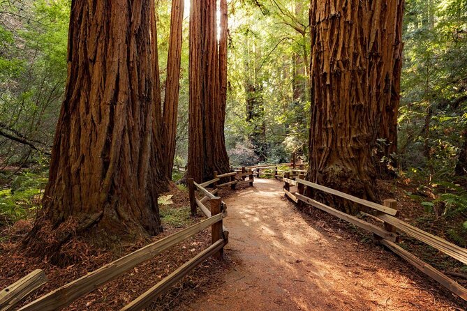 Big Bus San Francisco: Guided Muir Woods Tour - Key Points