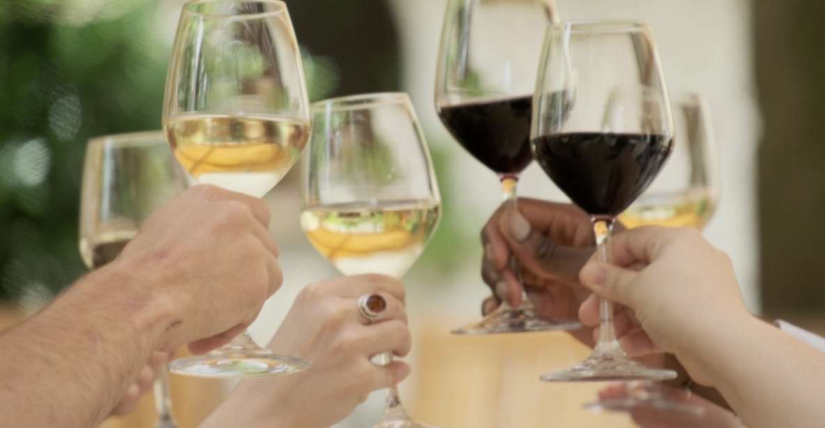 Bordeaux: Full Day Wine Tastings & Lunch - Key Points