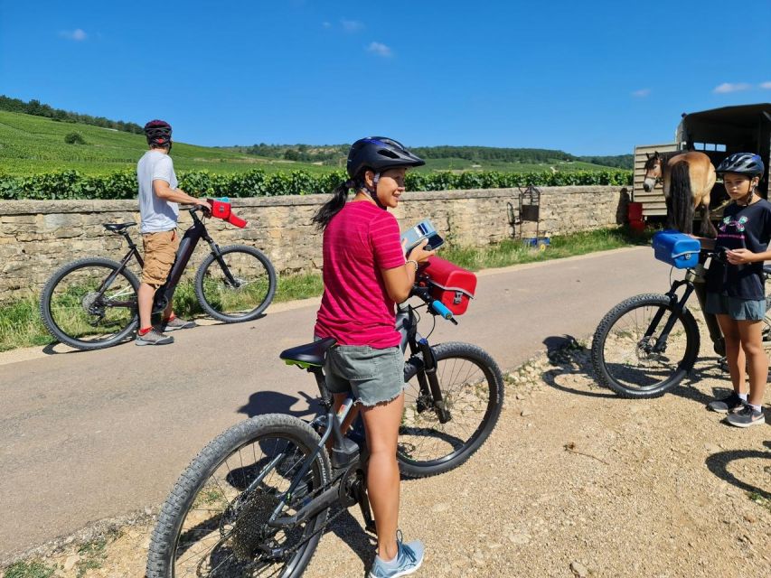 Burgundy: Fantastic 2-Day Cycling Tour With Wine Tasting - Just The Basics