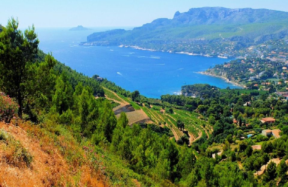 Calanques of Cassis, Aix-en-Provence & Wine Tasting Day Tour - Just The Basics