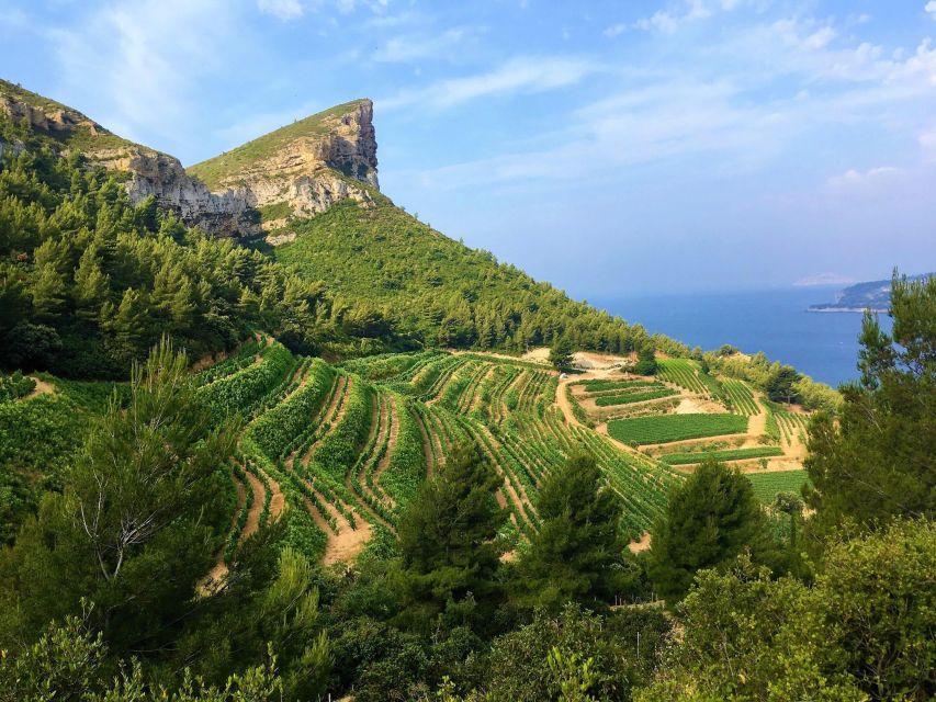 Calanques Of Cassis, the Village and Wine Tasting - Just The Basics