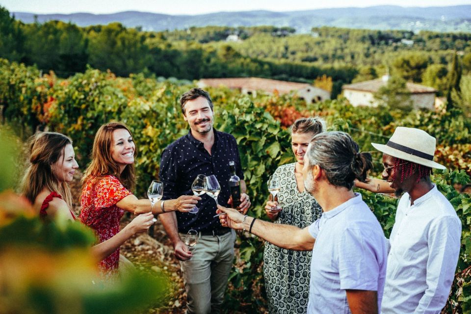 Cannes: Provence Wine Tour - Private Tour From Cannes - Just The Basics