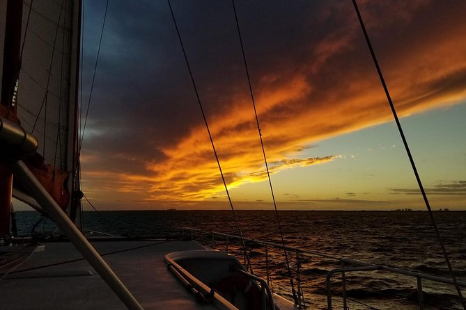 Castaway the Day: Miami Sunset Sail With Champagne - Key Points