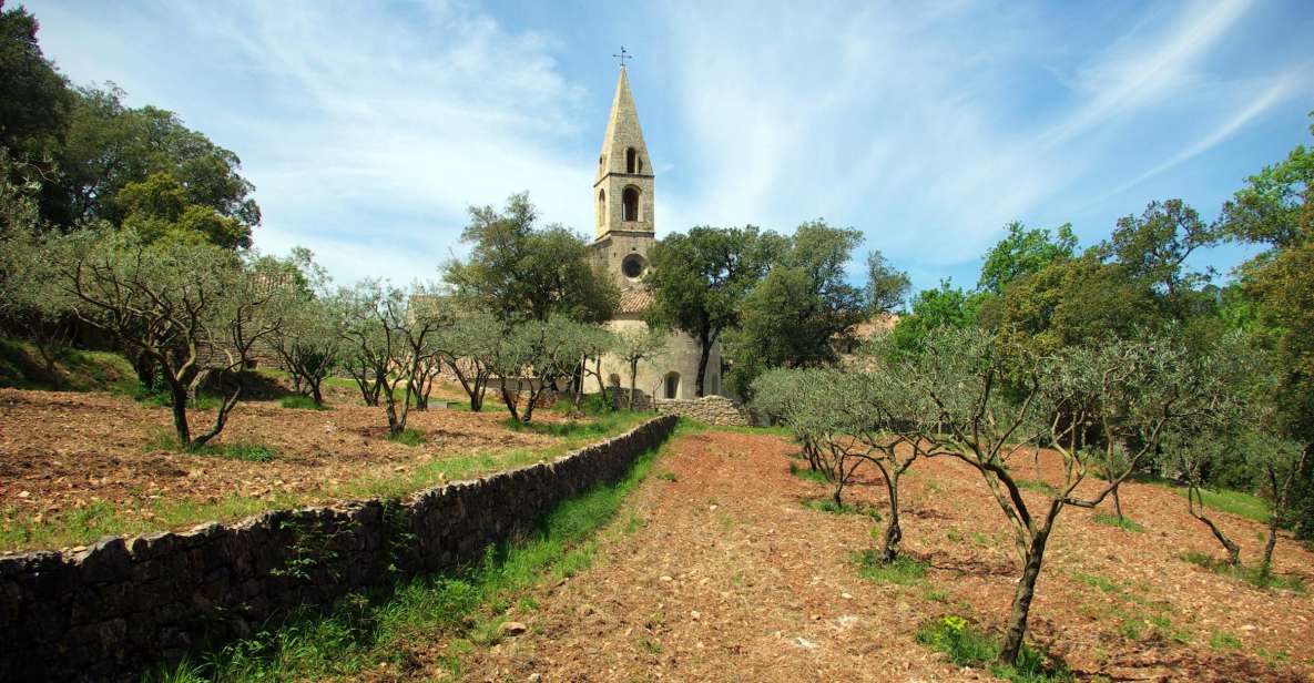 Churches of Provence & French Countryside Private Tour - Just The Basics