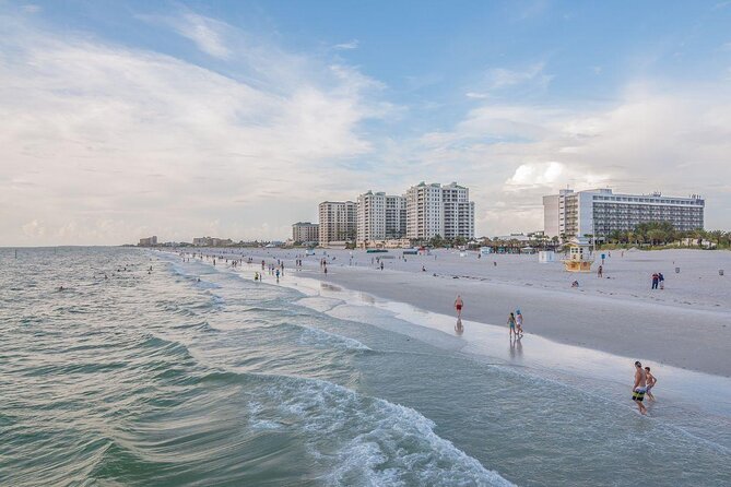 Clearwater Beach Dolphin Speedboat Adventure With Lunch & Transport From Orlando - Key Points