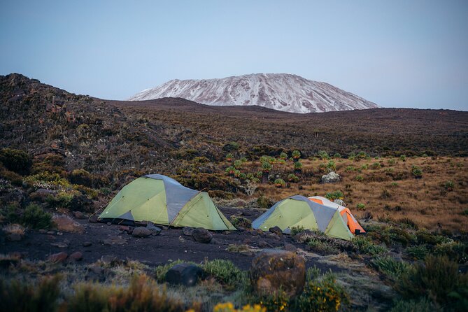 Climbing Kilimanjaro Through 7 Days Machame Route - Key Points