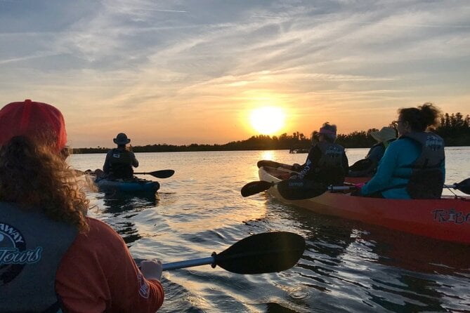 Comb Jelly Bioluminescence Kayak Tour - Key Points