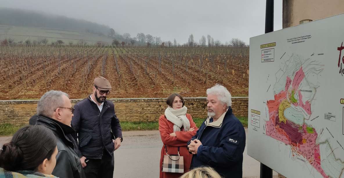 Cote De Nuits Private Local Wineries and Wine Tasting Tour - Just The Basics