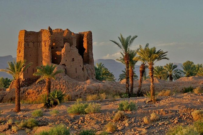 Desert Odyssey: a 2-Day Journey From Marrakech to Zagora - Key Points