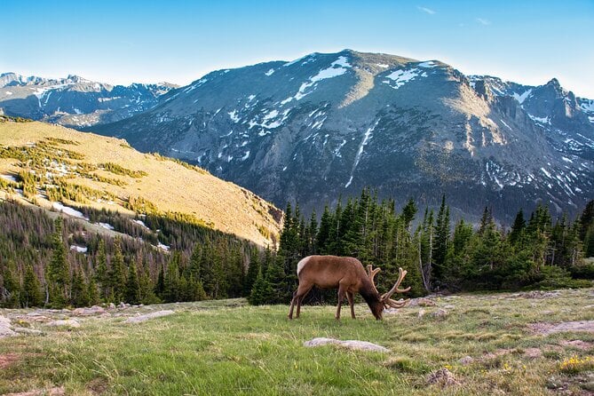 Discover Rocky Mountain National Park - Picnic Lunch Included - Just The Basics