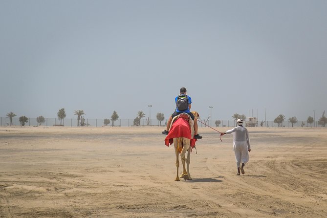 Doha Safari: Bash The Dunes, Camel Ride and Sandboarding - Included Activities in the Safari