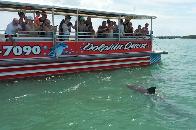 Dolphin Quest - Sightseeing/Eco Cruise, Johns Pass, Madeira Beach, FL - Key Points
