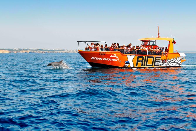 Dolphin Watching and Caves Cruise - Just The Basics