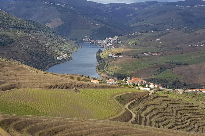 Douro Valley Tour: 2 Vineyard Visits, River Cruise, Winery Lunch - Just The Basics