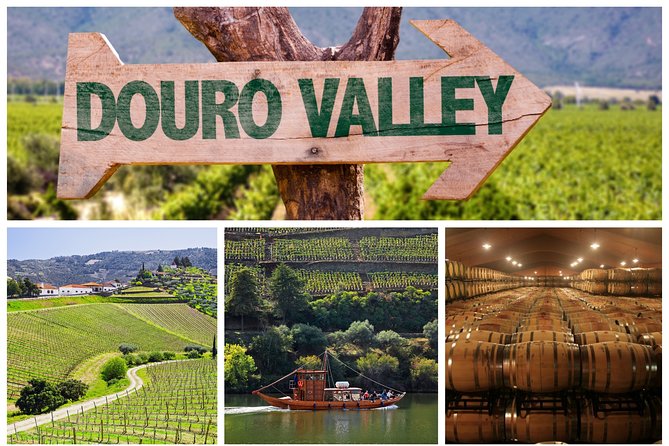 Douro Valley Tour: Wine Tasting, Cruise and Lunch From Porto - Just The Basics