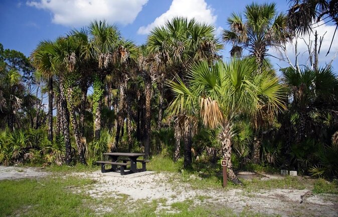 Everglades Day Safari From Fort Myers/Naples Area - Key Points