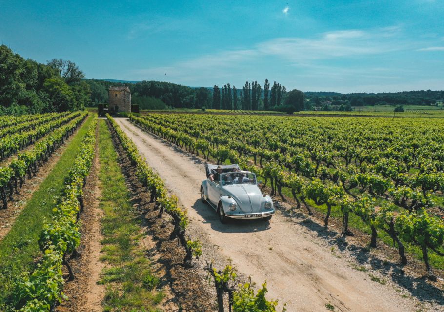 Explore Provence in a Volkswagen Beetle! - Key Points