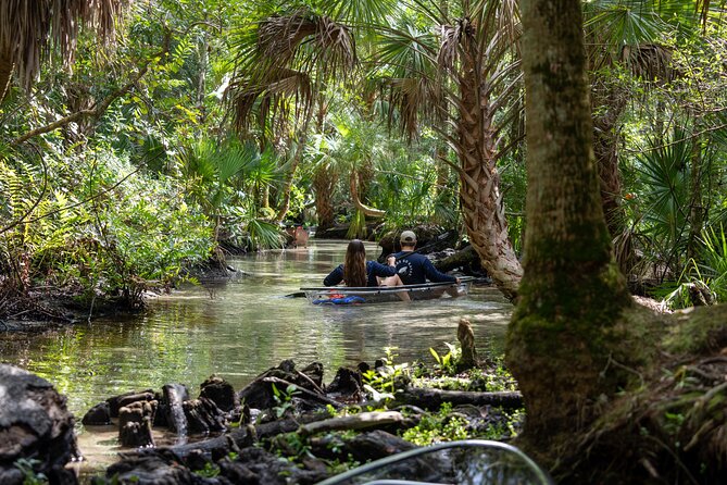 Explore The Chaz: Exclusive Clear Kayak Tours Near Crystal River - Key Points