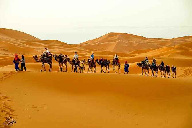 Fez to Marrakech via Merzouga Desert - 3 Day Desert Tour - Key Points