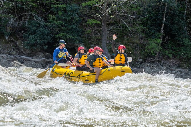 French Broad Gorge Whitewater Rafting Trip - Key Points