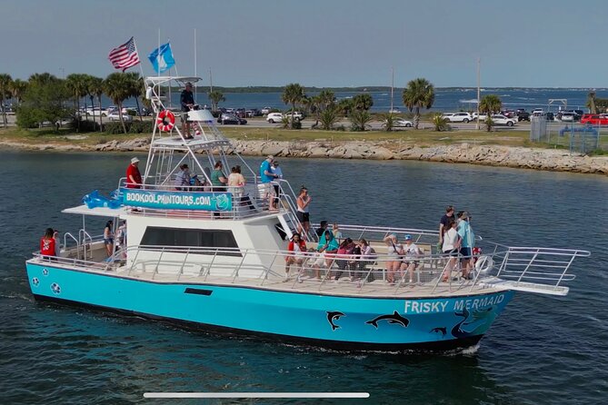 Frisky Mermaid Public Dolphin + Sightseeing Cruise Up to 49 Pax - Key Points