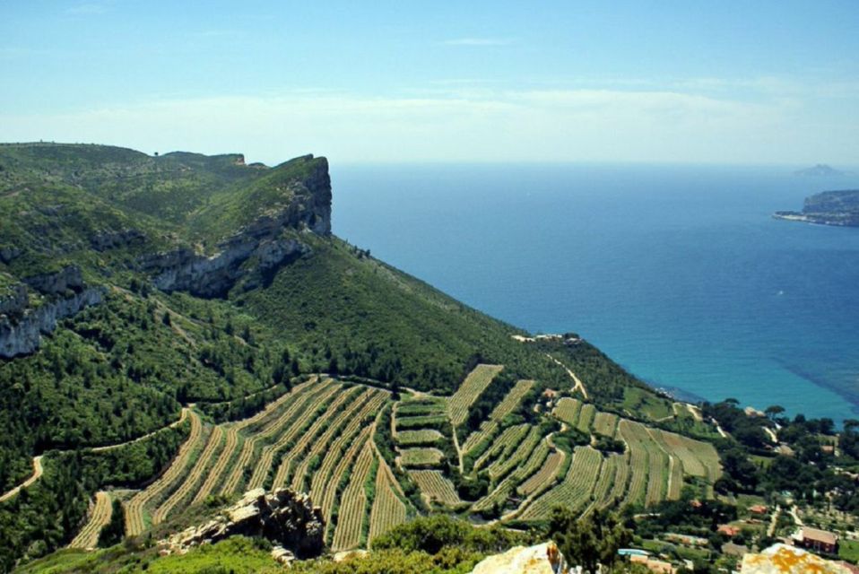 From Marseille: Bandol/Cassis Wine Tour With Viewpoint - Just The Basics