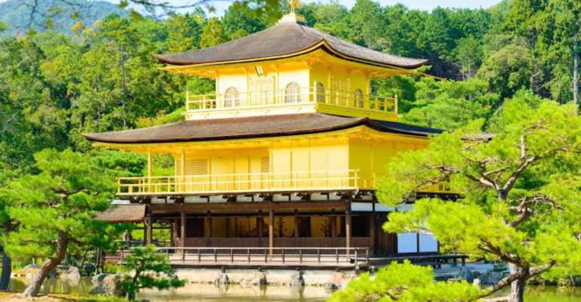 From Osaka: Kyoto and Nara Customize Private Tour by Alphard - Explore Kyoto Imperial Palace