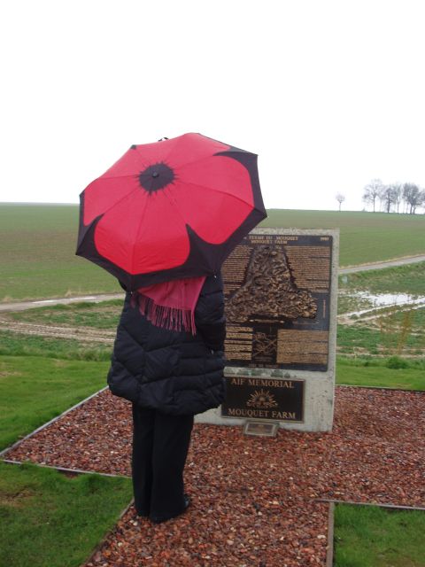 From Paris: WWI Somme Battlefields Full-Day Tour - Key Points
