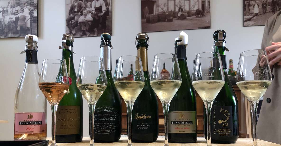 From Reims/Epernay: Private Gold Champagne Tasting Tour - Just The Basics