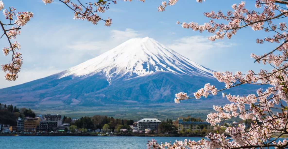 From Tokyo: 10-hour Mount Fuji Private Customizable Tour - Key Points