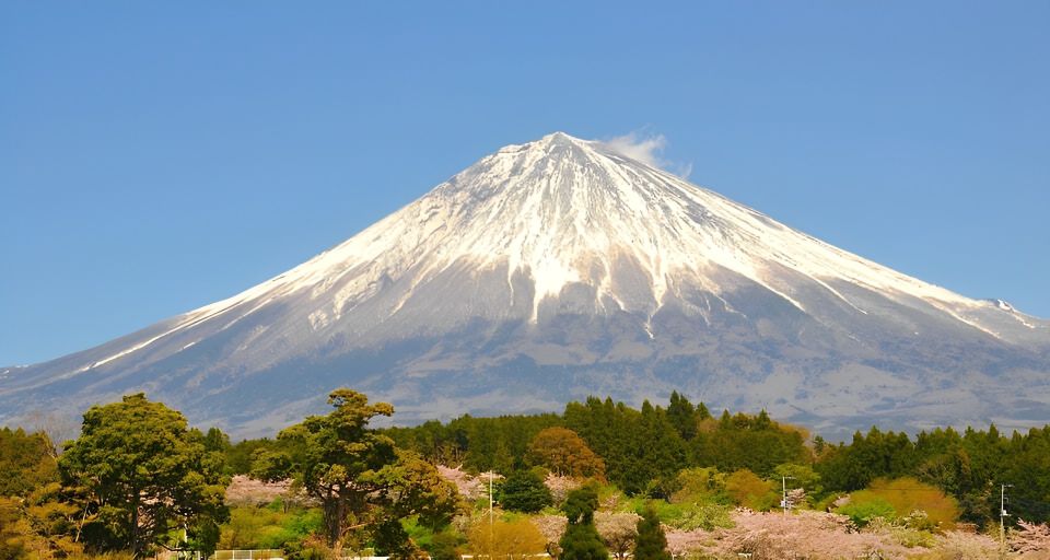 From Tokyo: 10-hour Private Tour to Mount Fuji and Hakone - Key Points