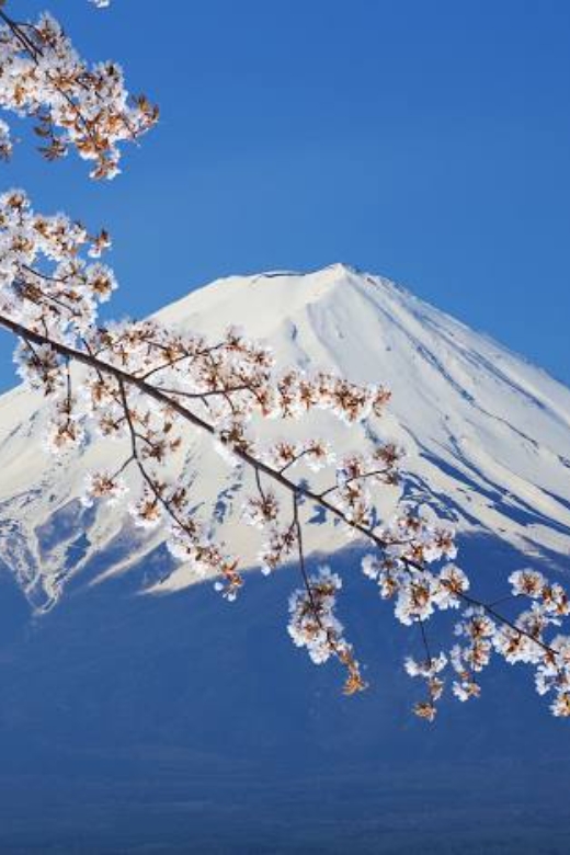 From Tokyo: Mount Fuji Full-Day Private Customized Tour - Key Points