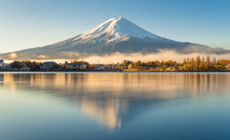 From Tokyo: Mount Fuji Full Day Private Tours English Driver - Key Points