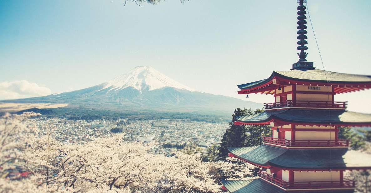 From Tokyo: Mt. Fuji Highlights Customizable Private Tour - Key Points