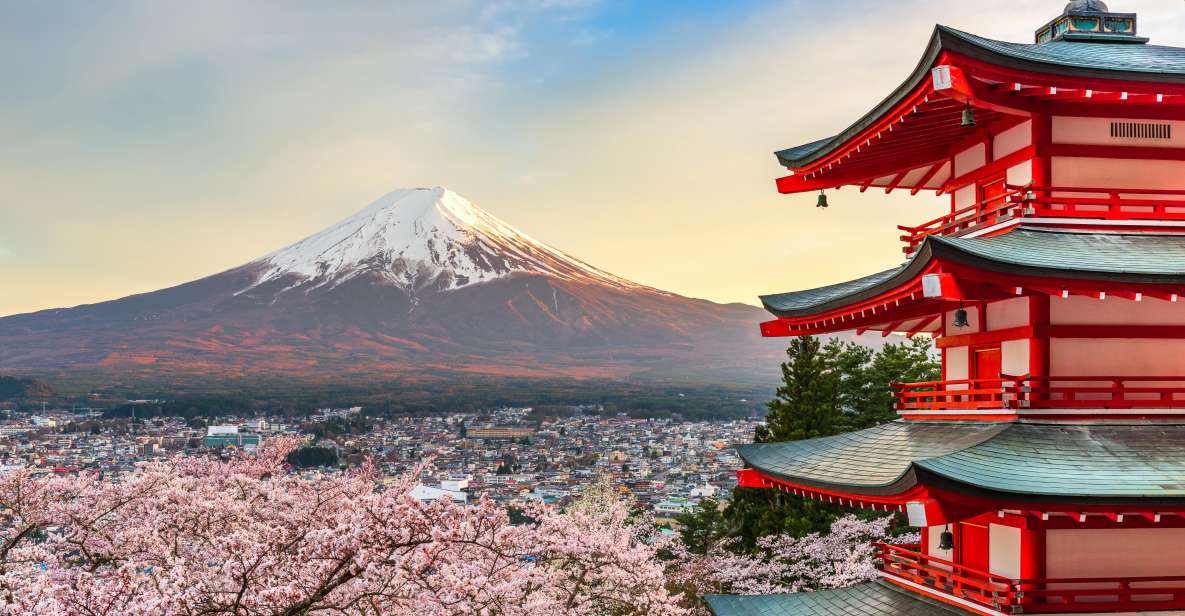 From Tokyo: Mt. Fuji or Hakone Private Sightseeing Day Trip - Key Points