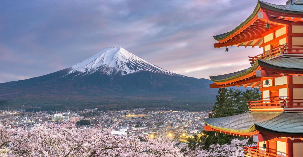 From Tokyo: Private Sightseeing Tour to Mount Fuji & Hakone - Key Points