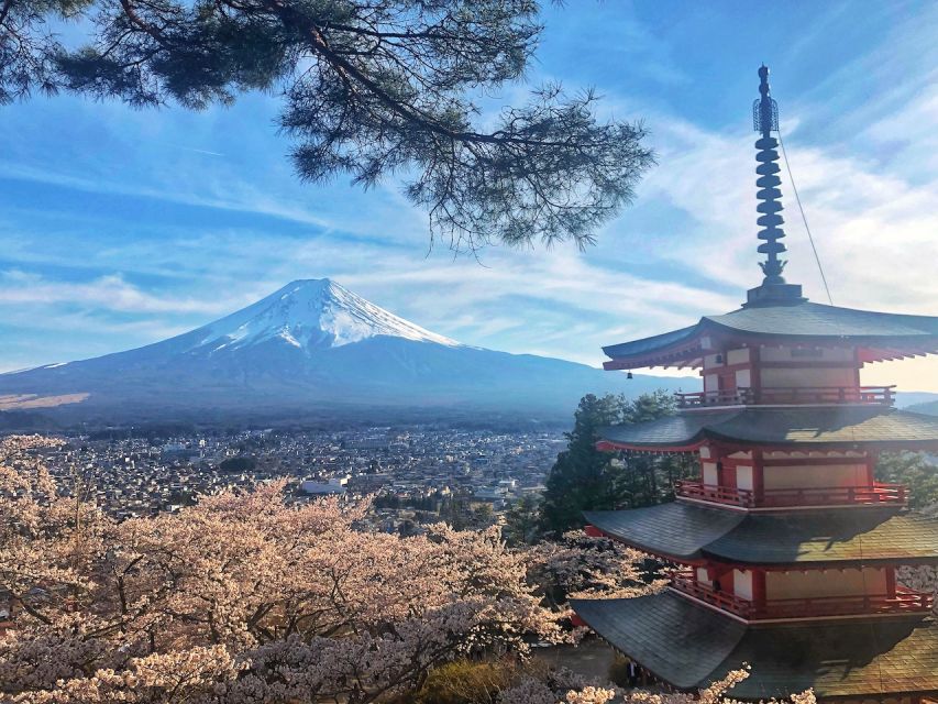 From Tokyo: Private Trip to Mount Fuji and Lake Kawaguchi - Key Points