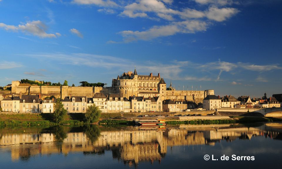 From Tours/Amboise: Chenonceau & Chambord Chateaux Day Trip - Key Points