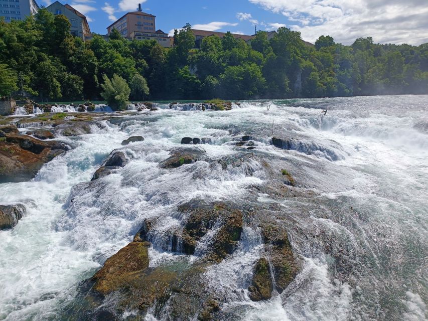 From Zurich: Rhine Falls & Stein Am Rhein Private Tour - Just The Basics
