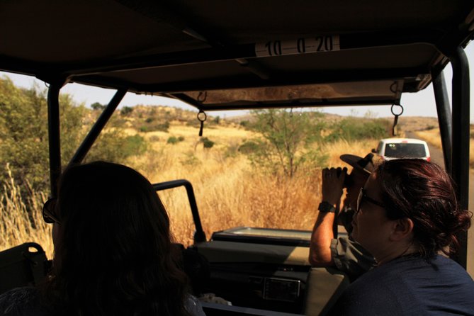 Full Day Pilanesberg Experience in Open Vehicle - Key Points