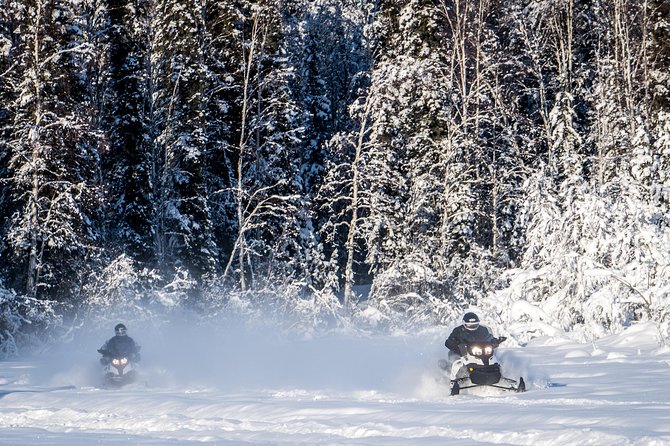 Guided Fairbanks Snowmobile Tour - Tour Details