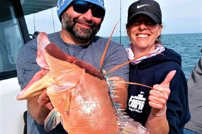 Half Day Fishing Experience From Johns Pass in Madeira Beach, FL - 5 Hours - Key Points