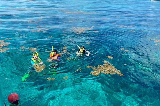 Half Day Snorkel Trip on Reefs in the Florida Keys - Marine Sanctuary Exploration