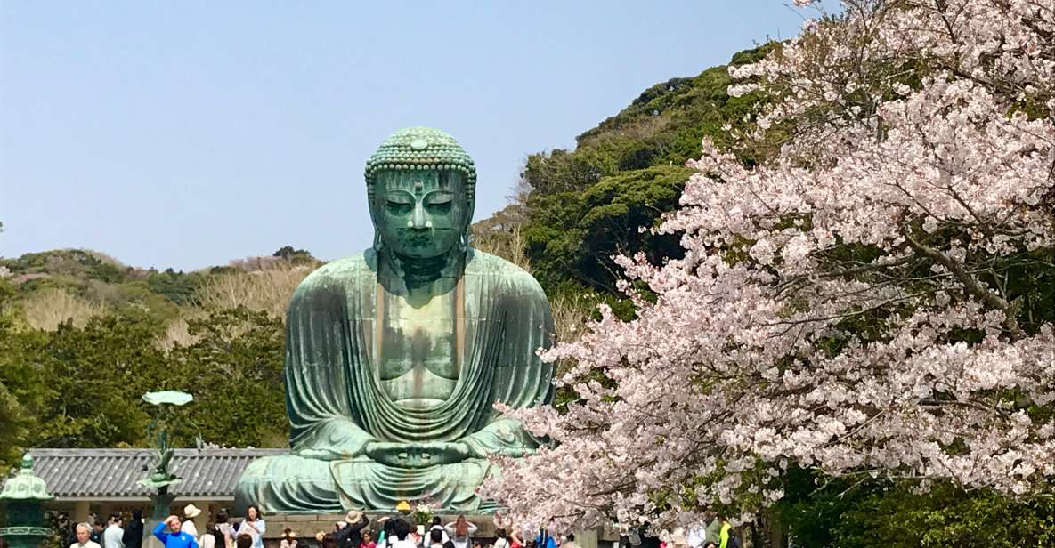Kamakura & Yokohama: Highlight Tour in English - Key Points