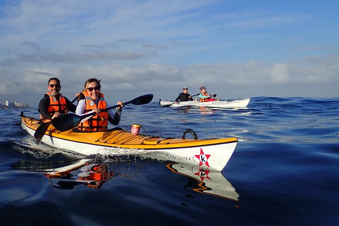Kayak Adventure in Cape Town, Table Mountain National Reserve - Coastal Kayaking Tour Overview
