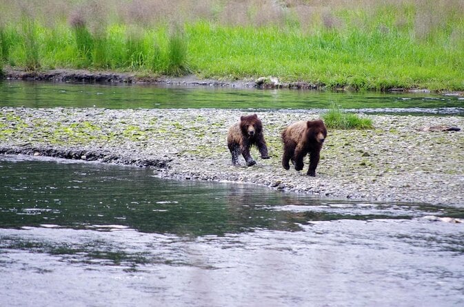 Ketchikan Shore Excursion: Eagle Island Sea Kayaking - Key Points