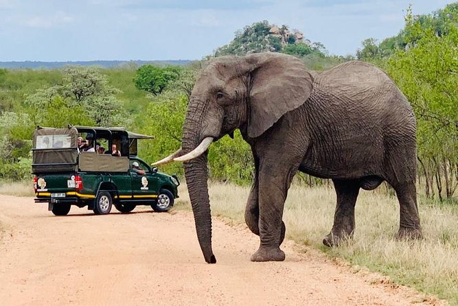 Kruger National Park Full Day Private Safari - Key Points
