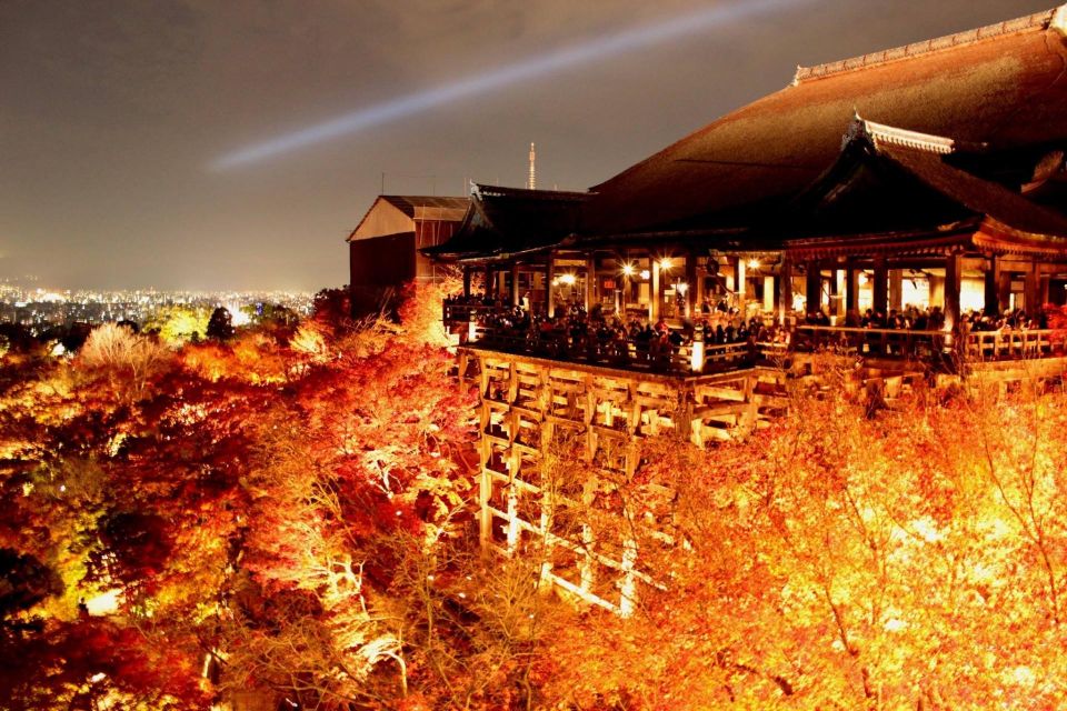 Kyoto: Private Customizable Day Trip by Car - Key Points