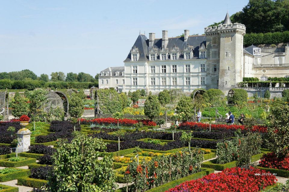 Loire Castles: Private Round Transfer From Paris - Just The Basics