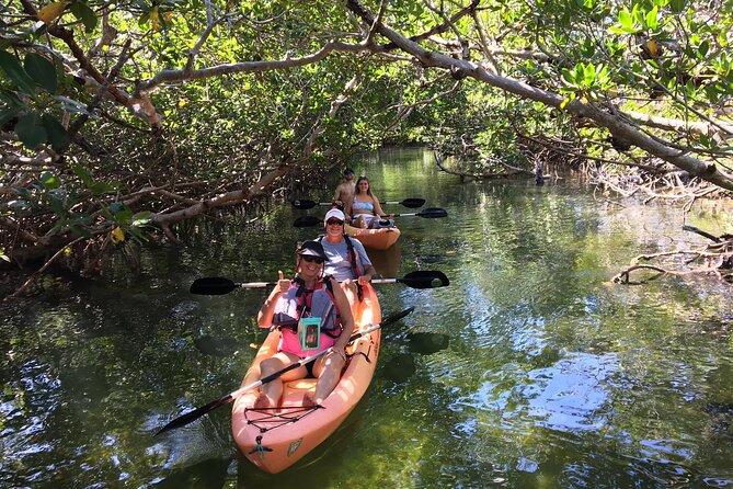 Mangroves and Manatees - Guided Kayak Eco Tour - Just The Basics